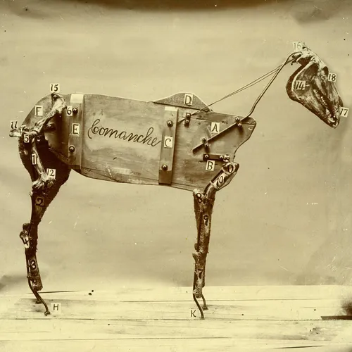 Chadwick Stokes - The Horse Comanche vinyl record cover