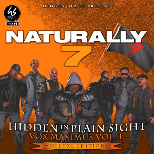 Hidden In Plain Sight