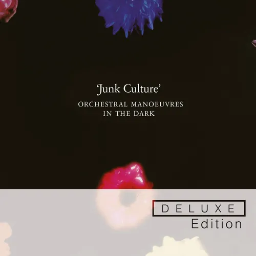 Junk Culture