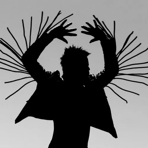 Twin Shadow - Eclipse vinyl record cover