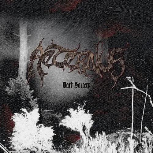 Aeternus - Dark Sorcery [Colored Vinyl] [Limited Edition] (Post) (Wht)