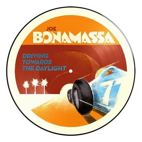 Driving Towards The Daylight: Picture Disc
