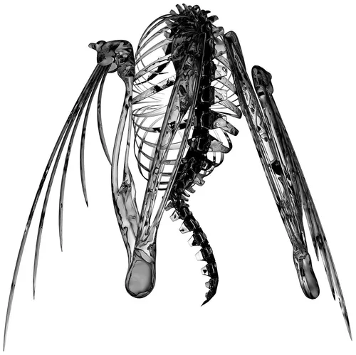 Heterocetera