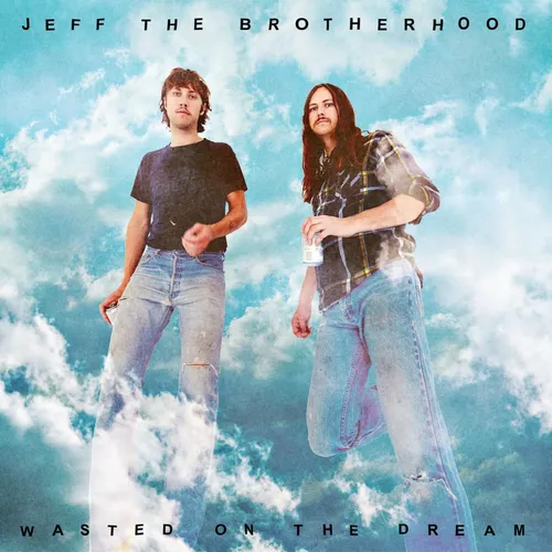 Jeff The Brotherhood - Wasted on the Dream vinyl record cover