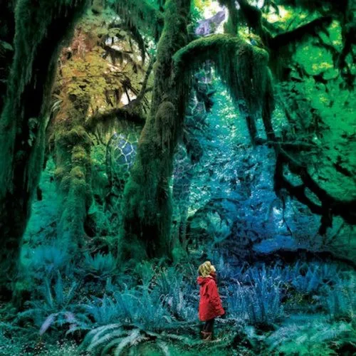 Jacco Gardner - Cabinet Of Curiosities vinyl record cover