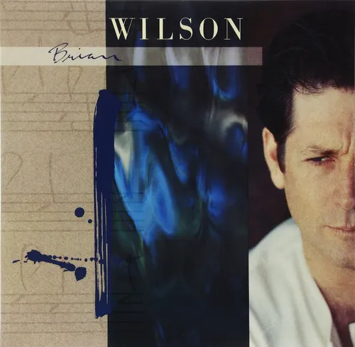 Brian Wilson - Brian Wilson vinyl record cover