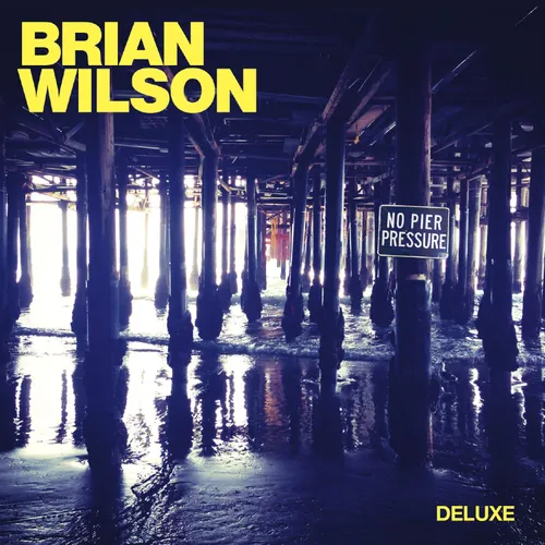 Brian Wilson - No Pier Pressure [Deluxe]