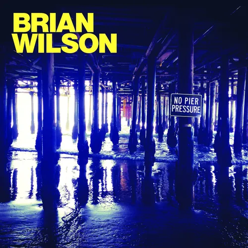 Brian Wilson - No Pier Pressure [Import]