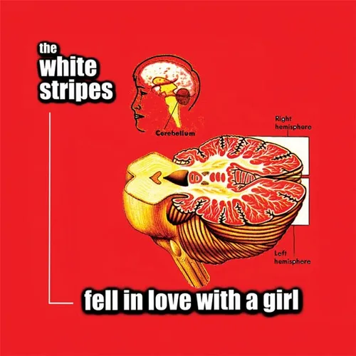The White Stripes - Fell In Love With A Girl [Vinyl Single]