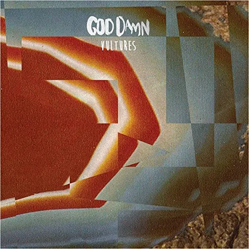 God Damn - Vultures vinyl record cover
