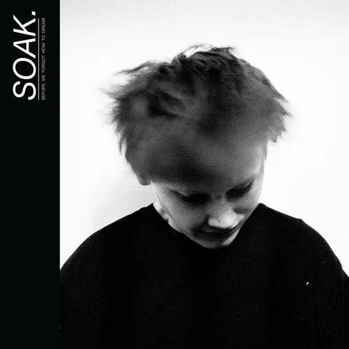 Soak - Before We Forgot How To Dream vinyl record cover