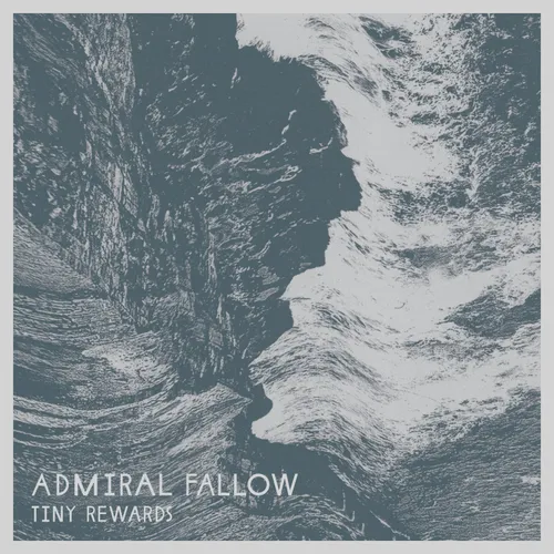Admiral Fallow - Tiny Rewards vinyl record cover
