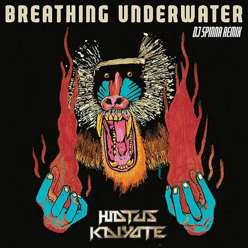 Hiatus Kaiyote - Breathing Underwater (Dj Spinna Galactic Soul)