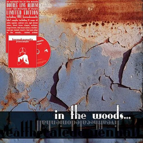 In The Woods - Live At The Caledonien Hall
