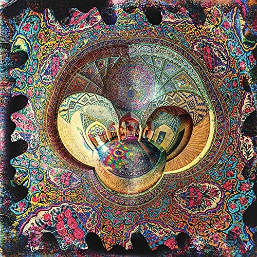 Vinyl Williams - Into vinyl record cover