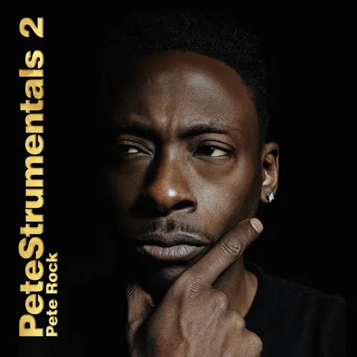 Pete Rock - Petestrumentals 2 vinyl record cover