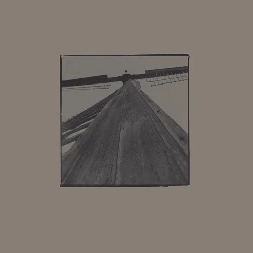 Ocean Beach / Shock Me
