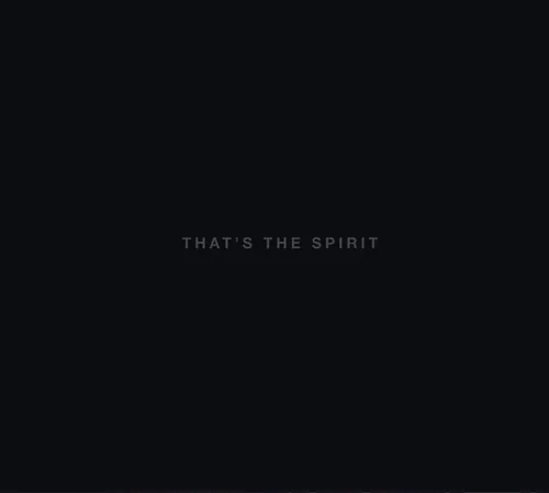 Bring Me The Horizon - That's The Spirit [Clean]