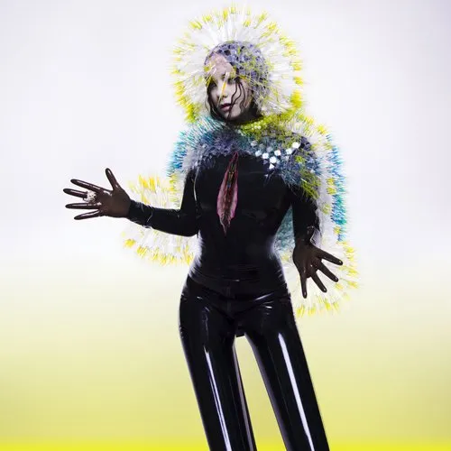 Bjork - Vulnicura vinyl record cover