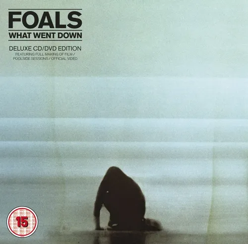 Foals - What Went Down vinyl record cover
