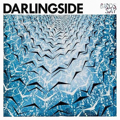 Darlingside - Birds Say vinyl record cover