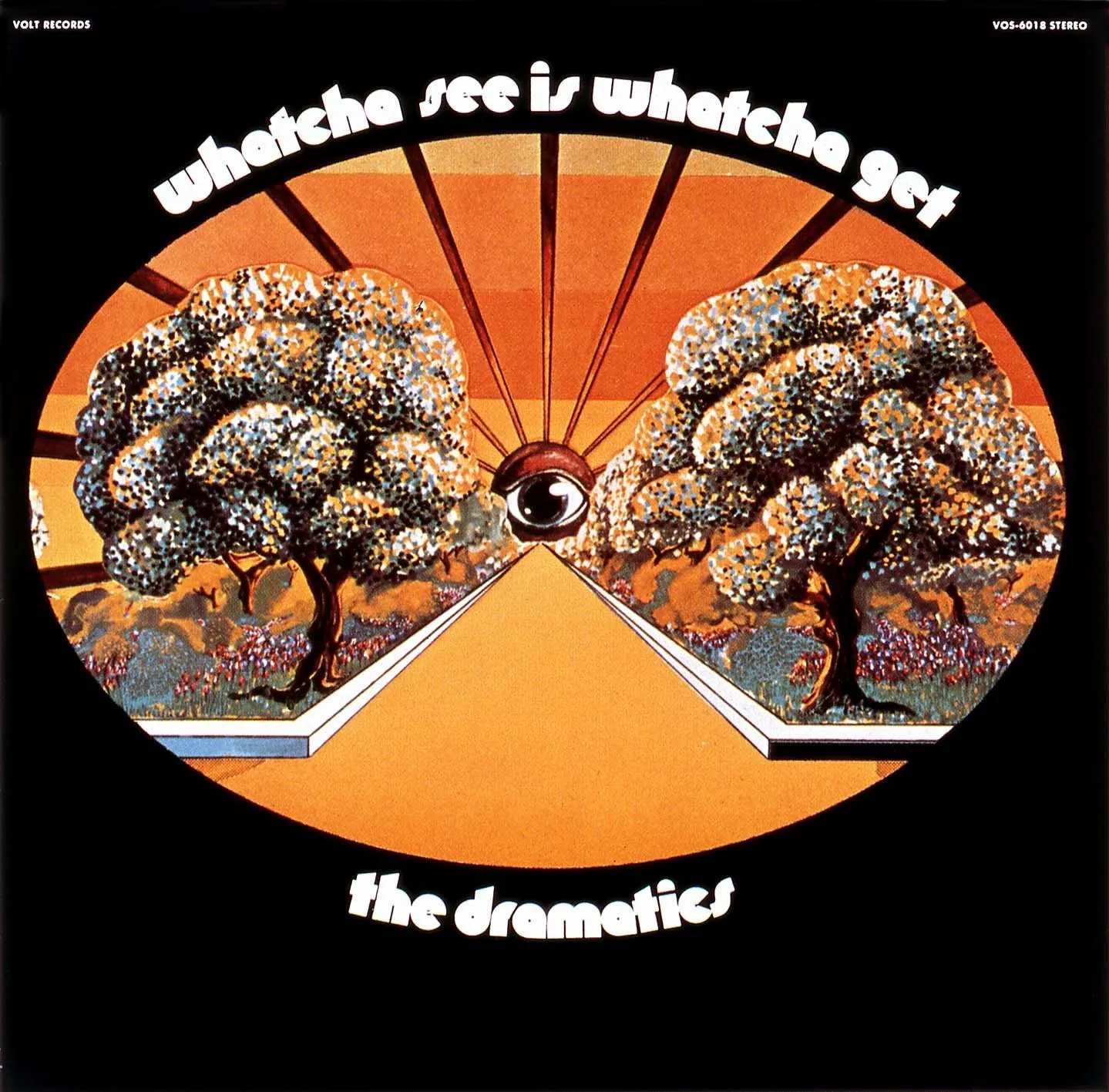 その他 LP Dramatics Whatcha See Is Whatcha Get VIP5017 STAX /00400 The Dramatics - Whatcha See Is Whatcha Get [Vinyl] | Waterloo Records
