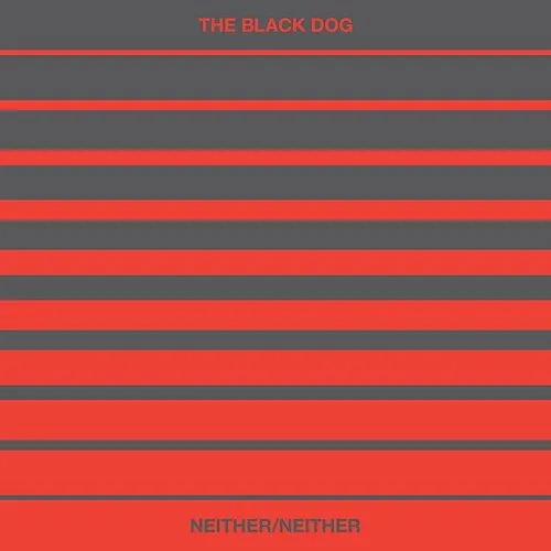 Black Dog - Neither/Neither vinyl record cover