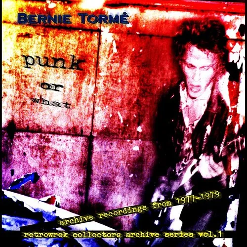 Bernie Torme - Punk Or What (Uk)