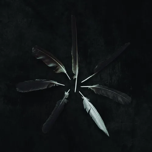 CASPIAN - Dust and Disquiet