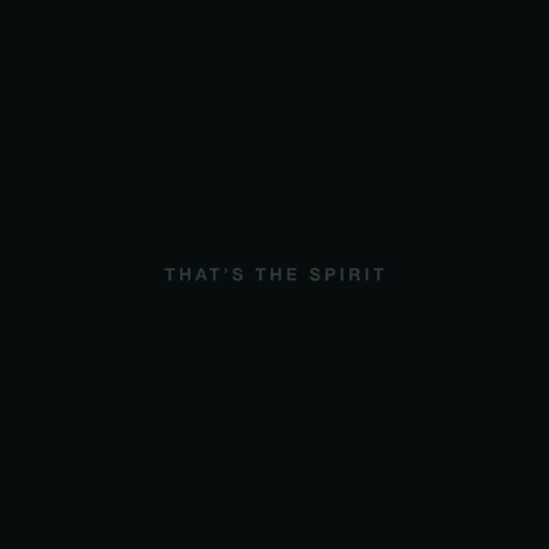 Bring Me The Horizon - That's The Spirit vinyl record cover