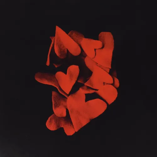 Tegan and Sara - So Jealous X vinyl record cover