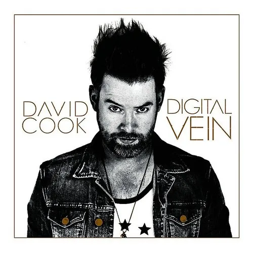 David Cook - Digital Vein vinyl record cover