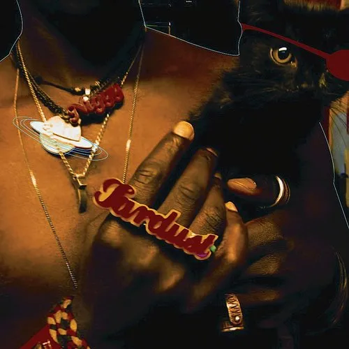 Saul Williams - The Inevitable Rise and Liberation of Niggy Tardust [LP]