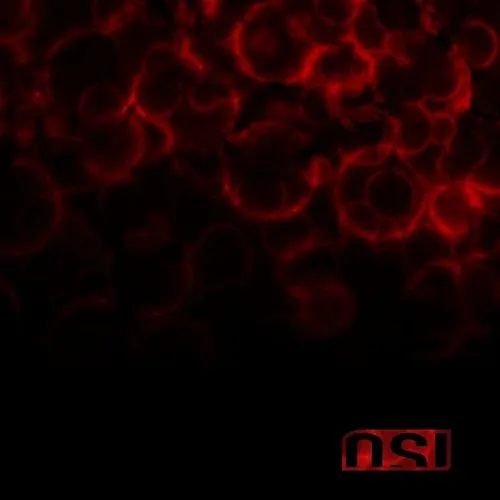 OSI - Blood (Bonus Track) vinyl record cover