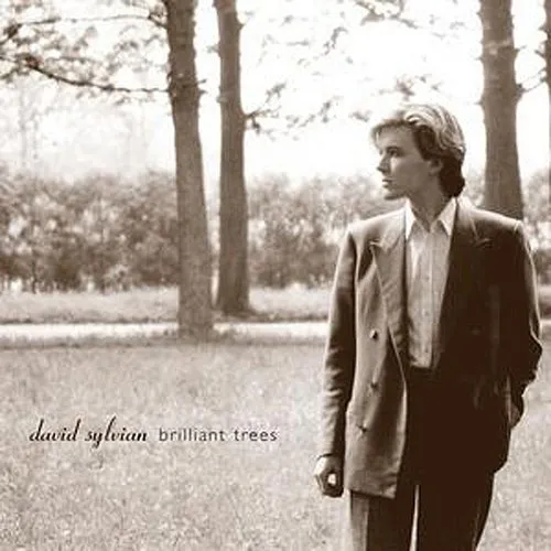 David Sylvian - Brilliant Trees (Jpn) [Remastered] (Jmlp) (Shm)