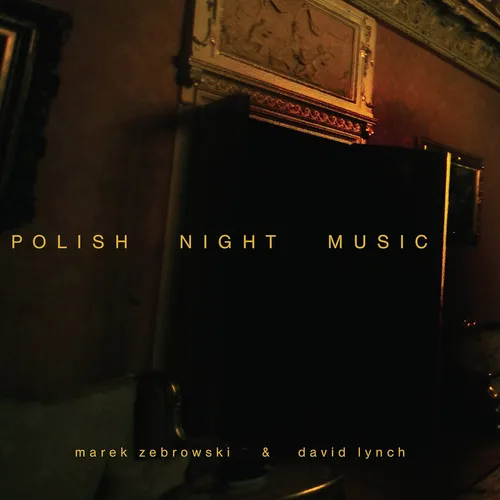 Marek Zebrowski & David Lynch - Polish Night Music [LP]