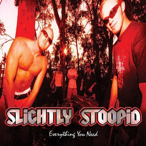 Slightly Stoopid - Everything You Need vinyl record cover