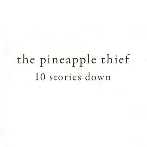 Pineapple Thief - 10 Stories Down (Uk)
