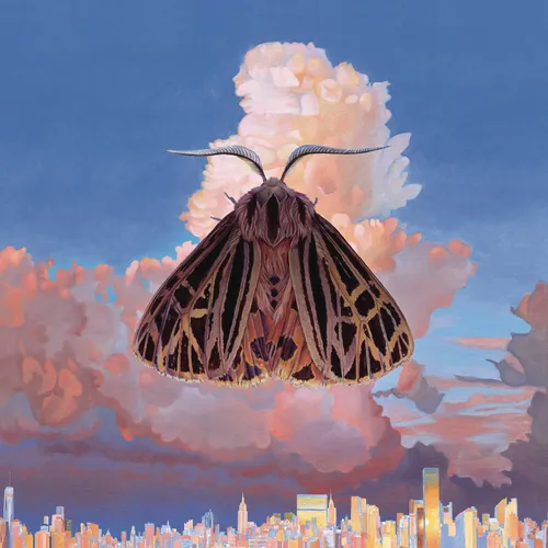 Chairlift - Moth vinyl record cover