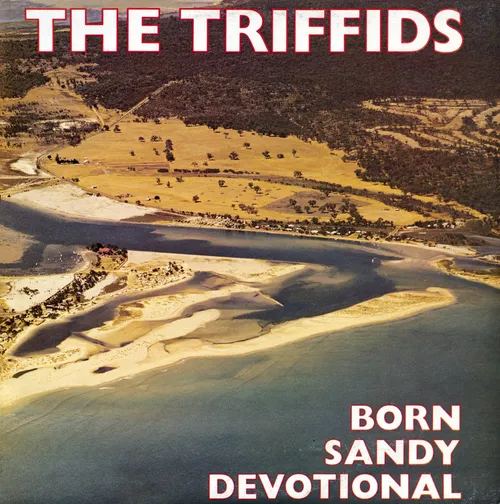 The Triffids - Born Sandy Devotional vinyl record cover