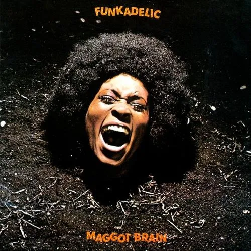Funkadelic - Maggot Brain vinyl record cover