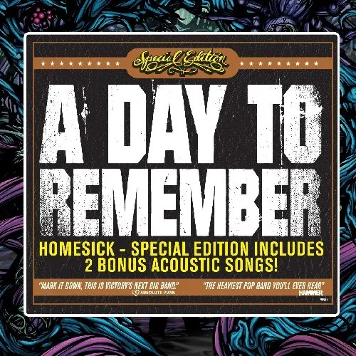 A Day To Remember - Homesick vinyl record cover