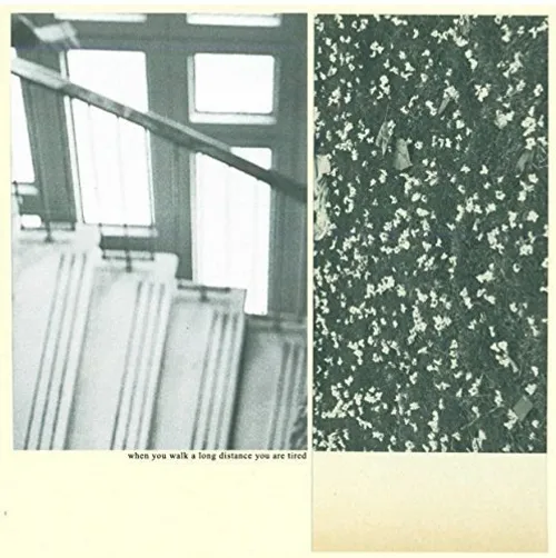 Mothers - When You Walk A Long Distance You Are Tired vinyl record cover