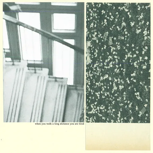 Mothers - When You Walk A Long Distance You Are Tired vinyl record cover