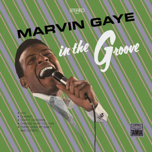 Marvin Gaye - In The Groove vinyl record cover