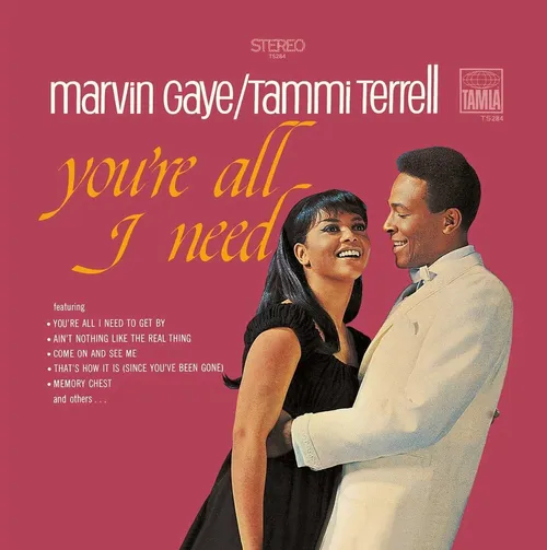 Marvin Gaye - You're All I Need vinyl record cover