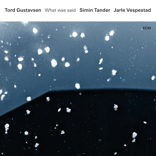 Tord Gustavsen - What Was Said vinyl record cover