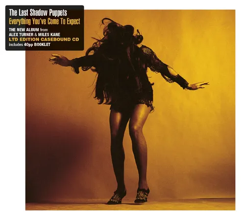 The Last Shadow Puppets - Everything You've Come to Expect vinyl record cover