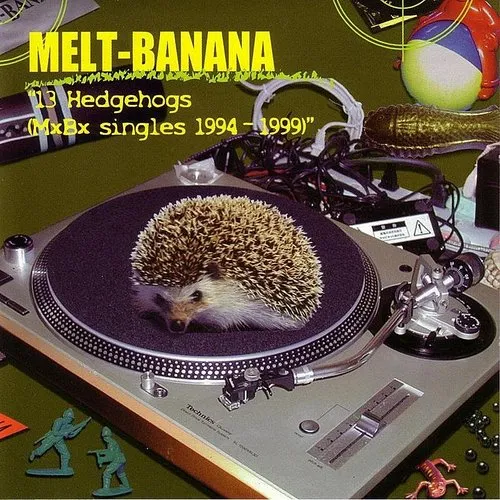 13 Hedgehogs