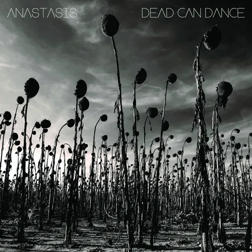 Dead Can Dance - Anastasis vinyl record cover